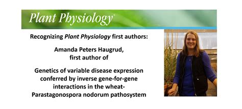 Recognizing Plant Physiology First Authors Amanda Peters Haugrud Plantae