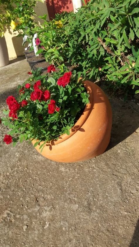 Vaso Para Plantas Botij O Tombado N Meu Vaso De Barro Vasos