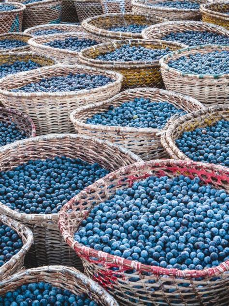 acai         super berries moon