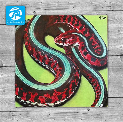 Red Sided Garter Snake Painting 12inx 12in Acrylic On Canvas Board