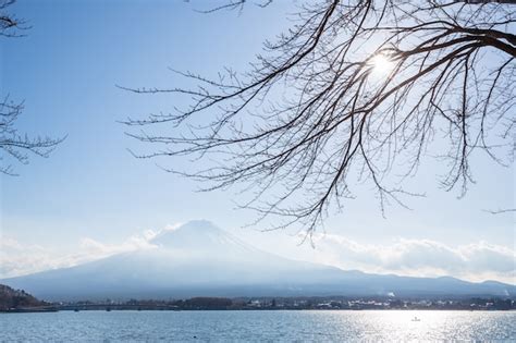 Premium Photo | Fujisan from kawaguchigo lake