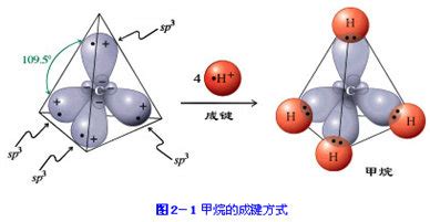 烷烃的结构