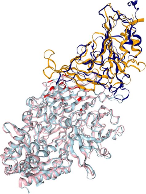 Putative Binding Mode Between Sars Cov S Receptor Binding Domain