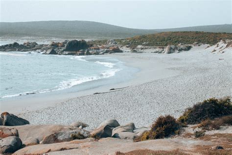 Lazy beach days in the West Coast National Park close to Cape Town ...