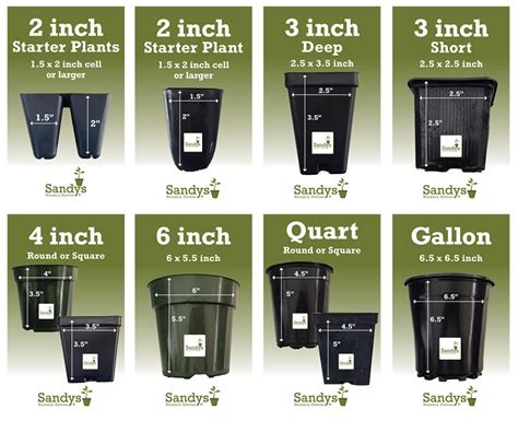 Plant Pot Size Guide Sandy S Nursery Online