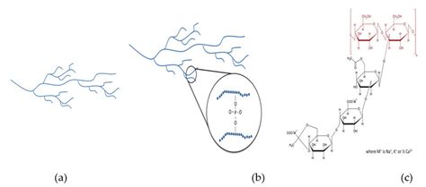 Schematic Structures Of A Ts B Hdp E 1442 And Chemical Structure