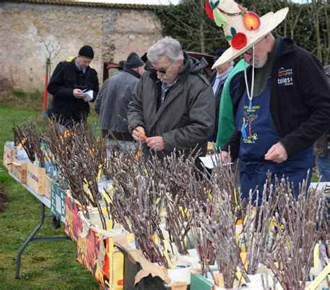 Lun Ville Une Bourse Aux Greffons Pour Les Croqueurs De Pommes