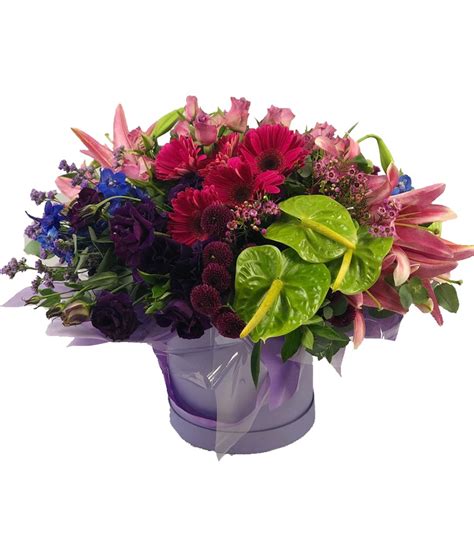 Fanta Grape - Fields of Colour Online Flower Shop