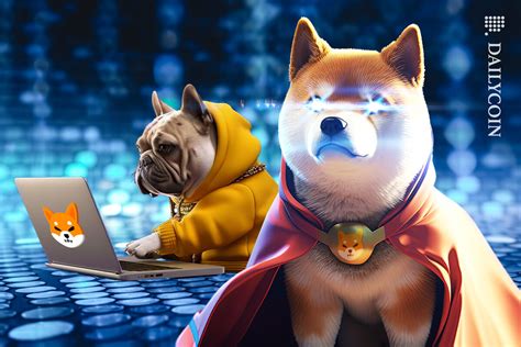 Heres How Shiba Inu Devs Plan To Expand Shibarium Utility Dailycoin