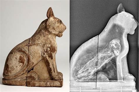 Pinterest Cats In Ancient Egypt Egypt Museum Ancient Egyptian