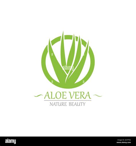 Símbolo y logotipo de aloe vera vector plantilla Imagen Vector de stock