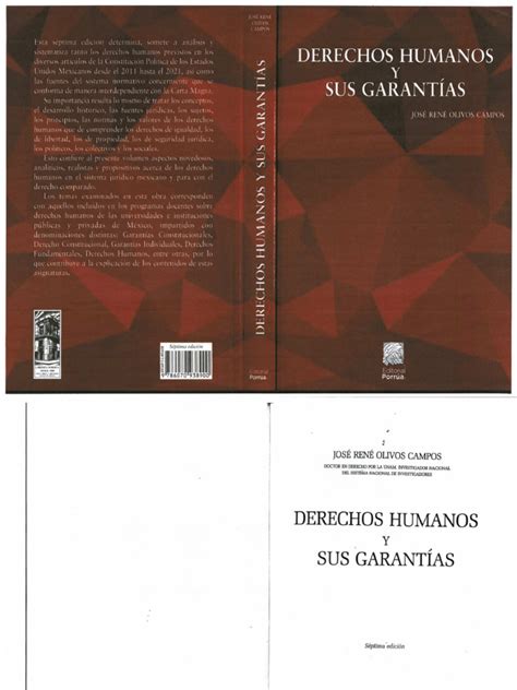 Libro Derechos Humanos Y Sus Grantias Pdf