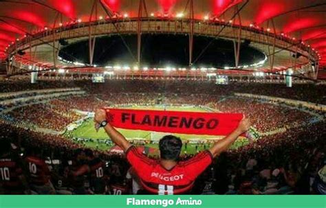 Flamengo Clube De Regatas Do Flamengo Amino