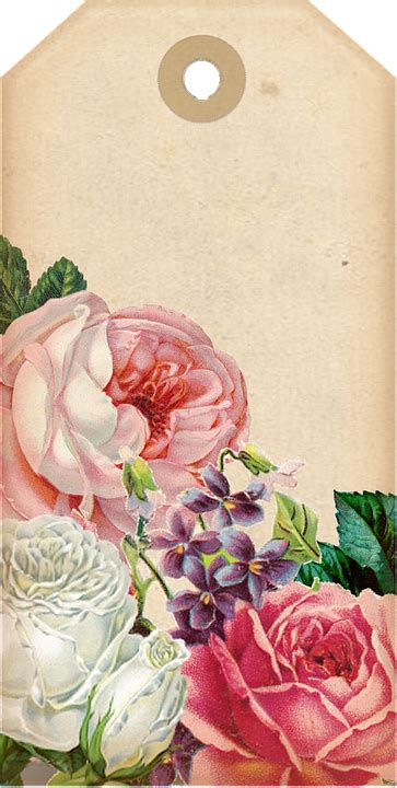 Free Illustration Tags Decorative Scrapbook Roses Free Image On