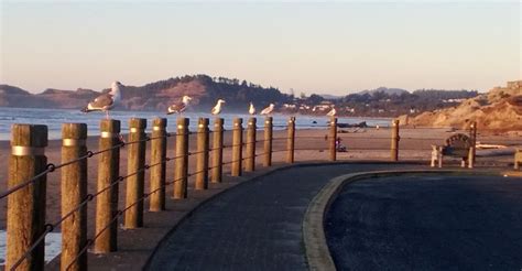 Nye Beach, Oregon | Country roads, Favorite places, Beach