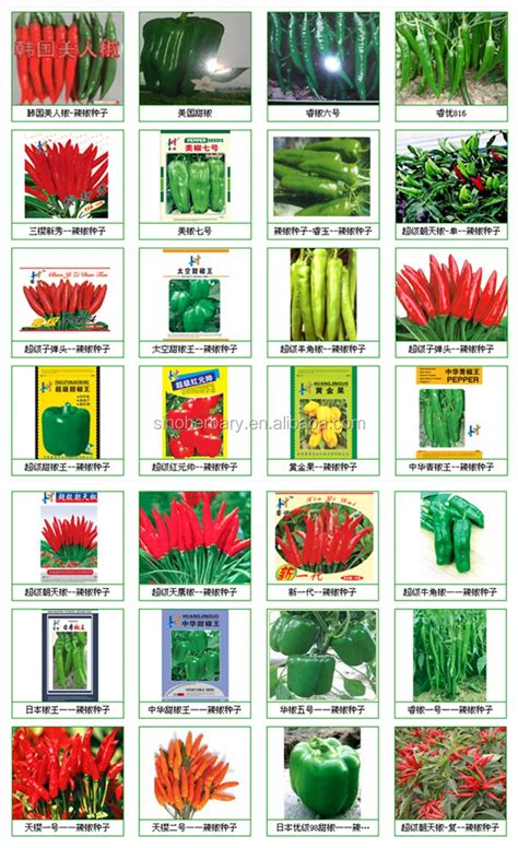 types of chili peppers