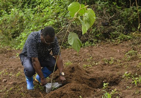 SIKU YA UPANDAJI MITI KITAIFA NA SIKU YA MISITU DUNIANI KUPAMBWA NA