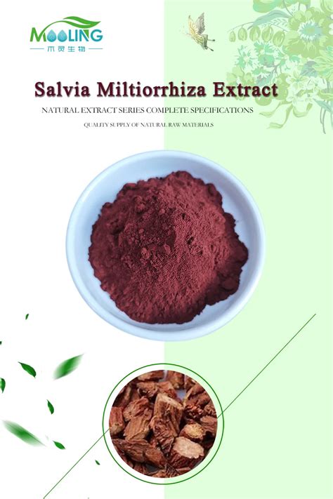 Pure Salvia Miltiorrhiza Extract Salvia Miltiorrhiza Powder Danshen ...