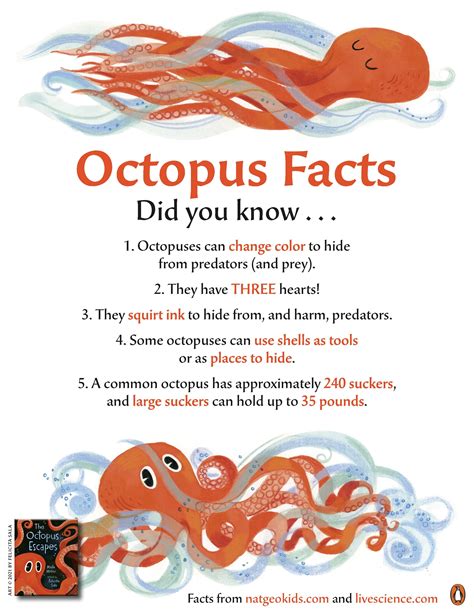 Octopus Facts in 2024 | Fun facts for kids, Octopus facts, Starfish ...