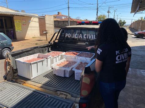 Operação Carne Fraca em Araxá Polícia investiga venda de carnes