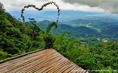 Kebun Teh Nglinggo Jogja Panorama Indah Dari Bukit Menoreh Kulonprogo