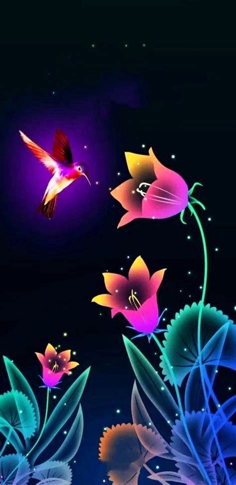 Fondos De Pantalla Kay Colorful Wallpaper Butterfly Wallpaper