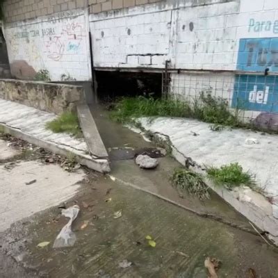 Est N Hartos M S De Dos Meses Tir Ndose El Agua De Drenaje By Alerta