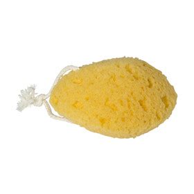 Bath Sponge Kmart