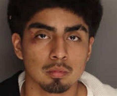 Berkeley County Sheriff’s Office Arrests Teen After 100‑mph Chase | The ...