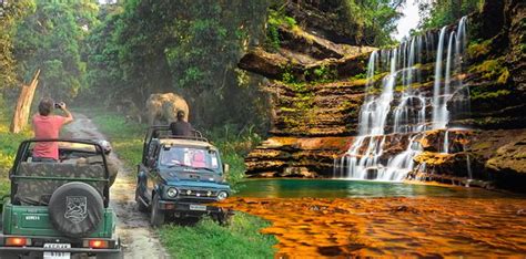 Nights Days Tour Manas National Park Guwahati Cherrapunji