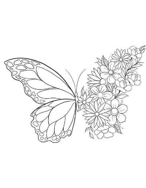 Flower And Butterfly Coloring Pages Free Printable PDF