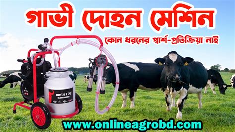 Single cow milking machine price in Bangladesh আধনক খমরর