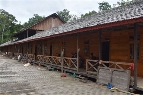 Apa Nama Rumah Adat Suku Dayak Ilmu