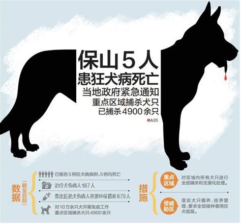 宠物猫狗是如何感染狂犬病？ 知乎