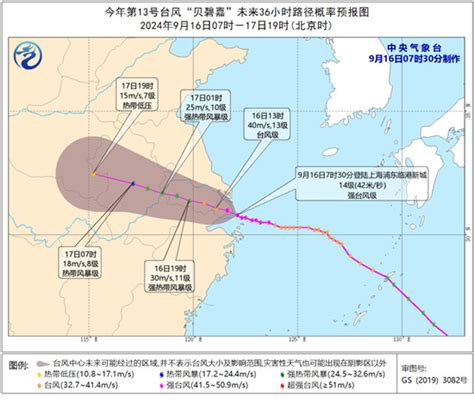 台风“贝碧嘉”登陆上海浦东 成为1949年以来登陆上海的最强台风 杭州网