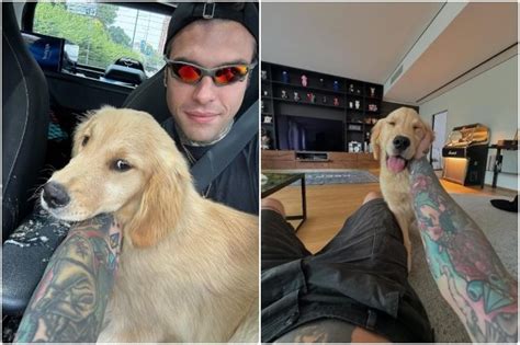 Fedez Ha Un Nuovo Cane E Si Chiama Silvio Paloma Rimasta A Chiara