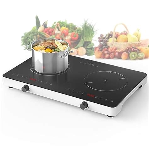 Top 10 Best Double Burner Induction Cooktop : Reviews & Buying Guide ...