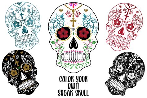 Color Your Own Sugar Skulls Svg Cut File And Sublimation Png