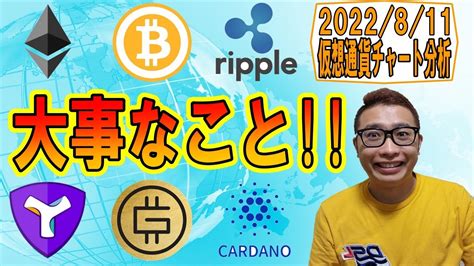 【仮想通貨 ﾋﾞｯﾄｺｲﾝbtc ＆ ｱﾙﾄｺｲﾝ 分析】トレードで大事なこと │ 金融情報のまとめ