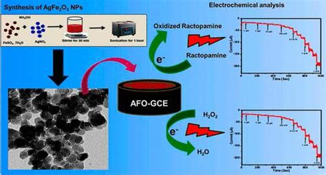 Sonochemical Synthesis Of Ag Functionalized Fe O Nanocomposites For