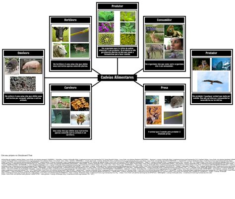 Vocabul Rio Da Cadeia Alimentar Storyboard Por Pt Examples