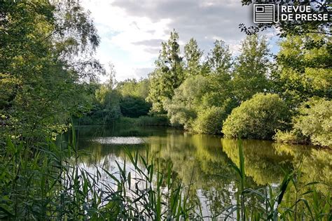 Biodiversité un accord enfin trouvé sur la loi européenne de