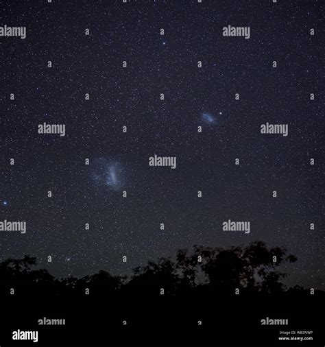 Magellanic Clouds In Southern Hemisphere Night Sky Above Silhouettes Of