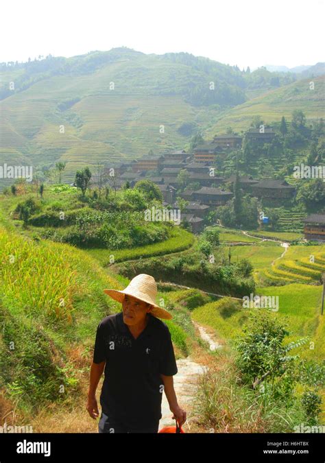 Chinese farmer hi-res stock photography and images - Alamy