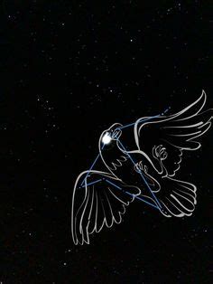 12 Aquila tattoo ideas | constellations, constellation tattoos, astronomy