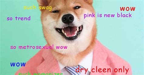 Such Style Wow So Sex Imgur