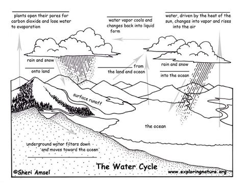 Blank Diagram Of Water Cycle