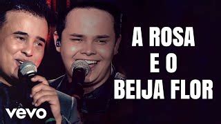 Matheus E Kauan S Lyrics