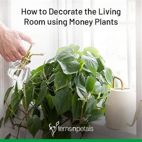 How To Decorate The Living Room Using Money Plants