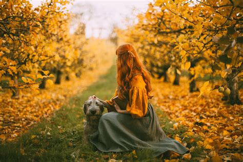 An Apple Orchard in Late Autumn - A Clothes Horse